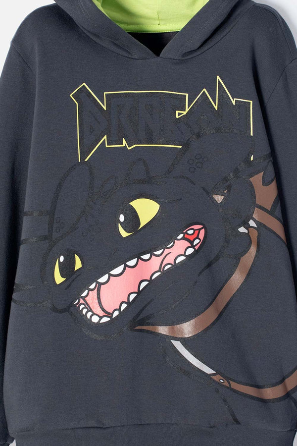 BUZO CÓMO ENTRENAR A TU DRAGÓN GRIS Y VERDE CON CAPUCHA PARA NIÑO