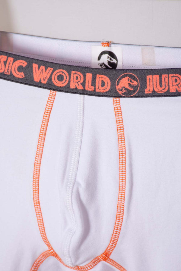 PACK X2 BOXER DE JURASSIC WORLD MULTICOLOR PARA NIÑO