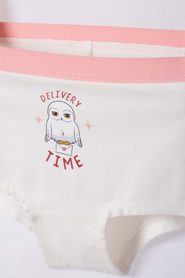 PACK X2 PANTIES DE HARRY POTTER MULTICOLOR PARA NIÑA