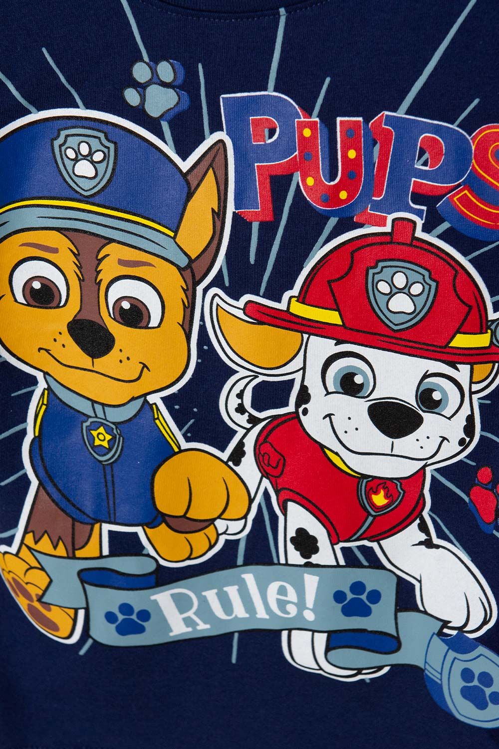 CAMISETA DE PAW PATROL ESTAMPADA AZUL PARA NIÑO DE 2T A 5T