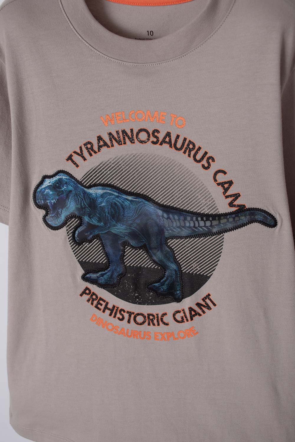 CAMISETA  DE MIC MANGA CORTA TAUPE PARA NIÑO