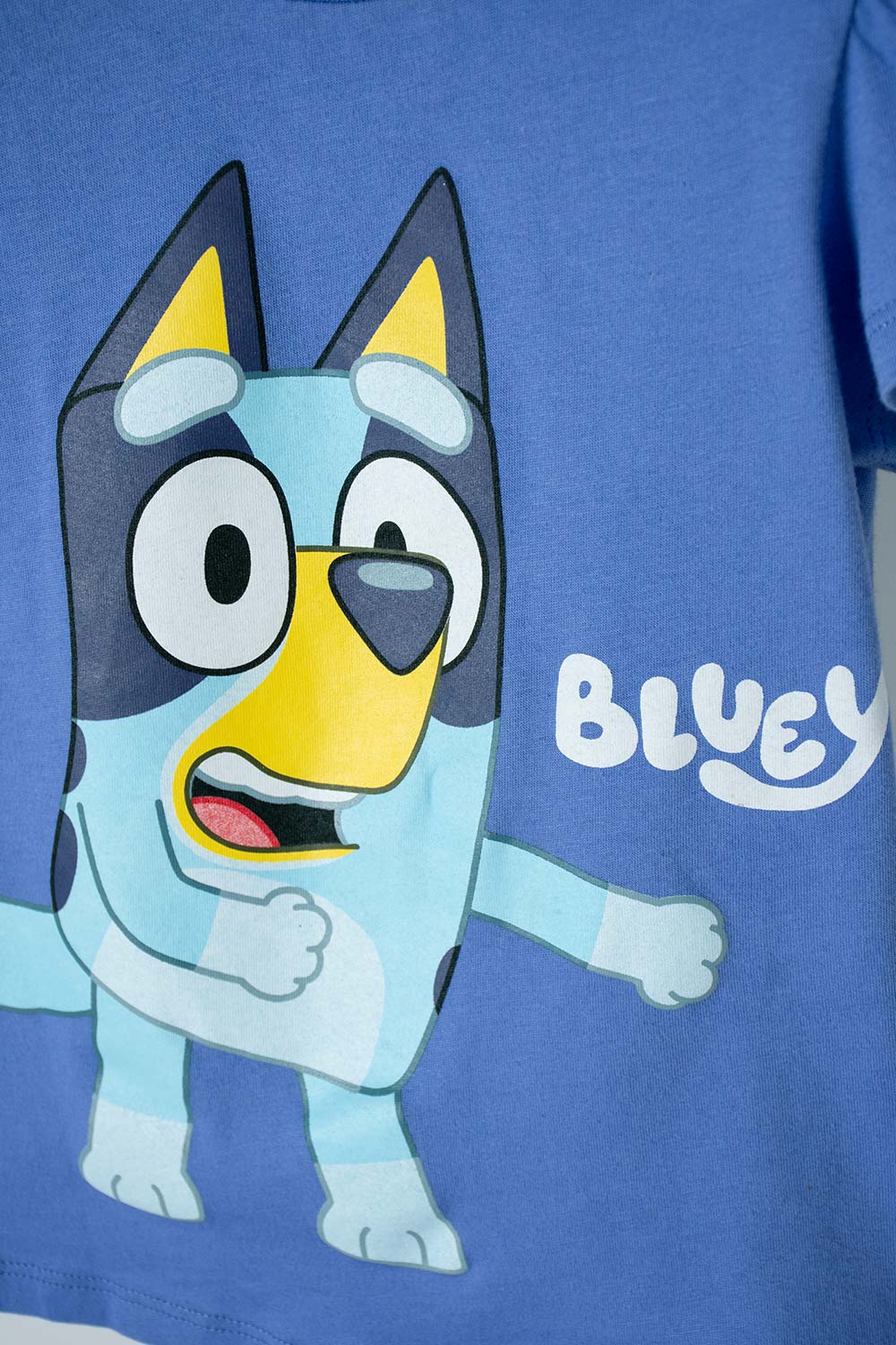 PIJAMA DE BLUEY MULTICOLOR MANGA CORTA PARA NIÑA 2T A 6T
