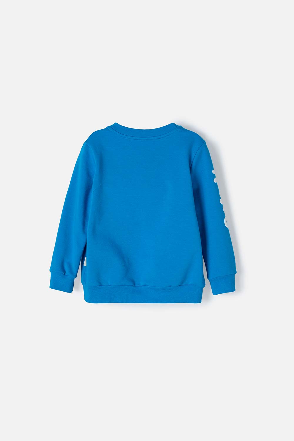 BUZO DE BLUEY AZUL DE DISEÑO CERRADO PARA NIÑO 2T A 6T