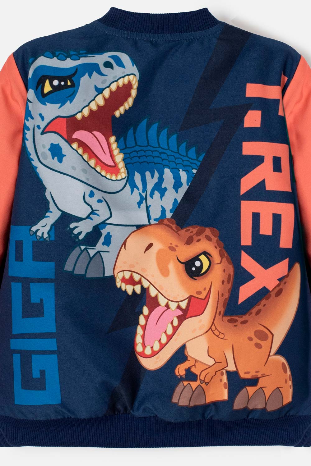 CHAQUETA DE JURASSIC WORLD CON CIERRE MULTICOLOR PARA NIÑO 2T A 6T