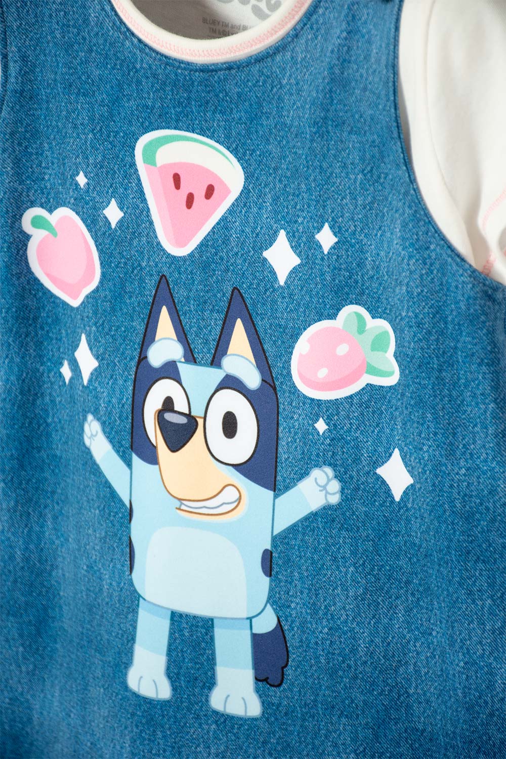 VESTIDO DE BLUEY MULTICOLOR CORTO PARA NIÑA 2T A 6T