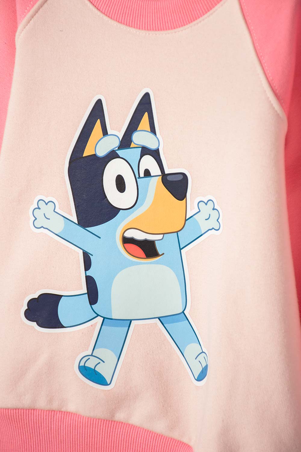 CONJUNTO DE BLUEY CON PANTALÓN LARGO ROSADO PARA NIÑA 2T A 6T